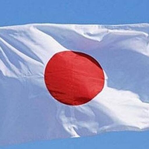 जापान सरकार ने उन हजारों लोगों से माफी मांगी है जिनकी युजेनिक्स प्रोटेक्शन कानून के तहत जबरन नसबंदी कराई गई