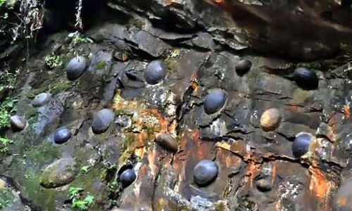 ये चट्टानें देती हैं अंडे, वजह जानकर हो जायेंगे हैरान