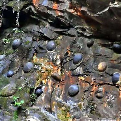 ये चट्टानें देती हैं अंडे, वजह जानकर हो जायेंगे हैरान ये चट्टानें देती हैं अंडे, वजह जानकर हो जायेंगे हैरान