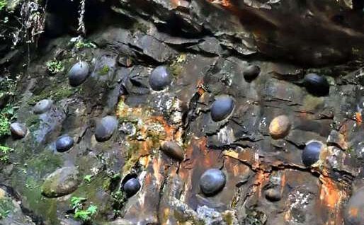 ये चट्टानें देती हैं अंडे, वजह जानकर हो जायेंगे हैरान