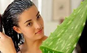 बालों और स्कैल्प के लिए एलोवेरा जेल है फायदेमंद