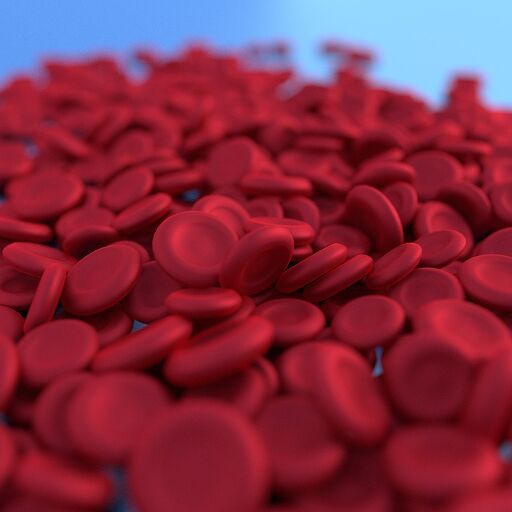 शरीर में खून की कमी को दूर करने के घरेलू उपाय