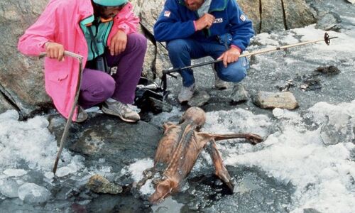 5,300 साल पुरानी पहेली: बर्फ में मिला रहस्यमय शव - हत्या या दुर्घटना? 5,300 साल पुरानी पहेली: बर्फ में मिला रहस्यमय शव - हत्या या दुर्घटना?