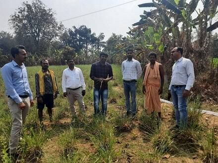 Inauguration of a 5-day training program on the cultivation of medicinal and aromatic plants for farmers in Maharashtra