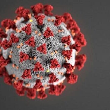 फैल रहा है तेजी से भारत में कोरोना का नया वैरिएंट जेएन.1