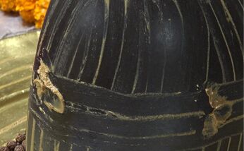 नव वर्ष पर घर बैठे प्राप्त कर सकेंगे बाबा काशी विश्वनाथ का आशीर्वाद