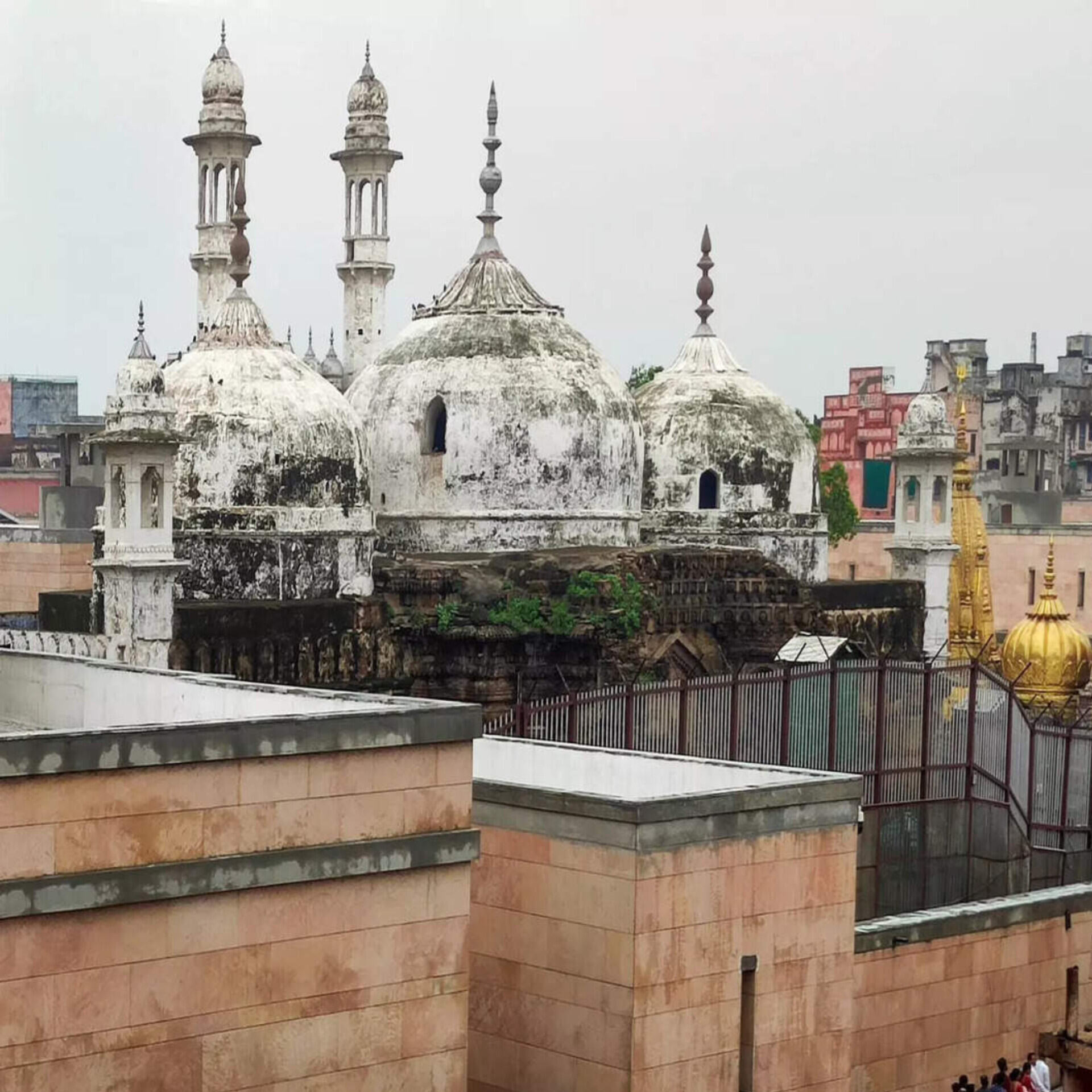 ज्ञानवापी तलगृह में पूजा को लेकर HC में सुनवाई, अंजुमन इंतेजामिया को राहत नहीं ज्ञानवापी तलगृह में पूजा को लेकर HC में सुनवाई, अंजुमन इंतेजामिया को राहत नहीं