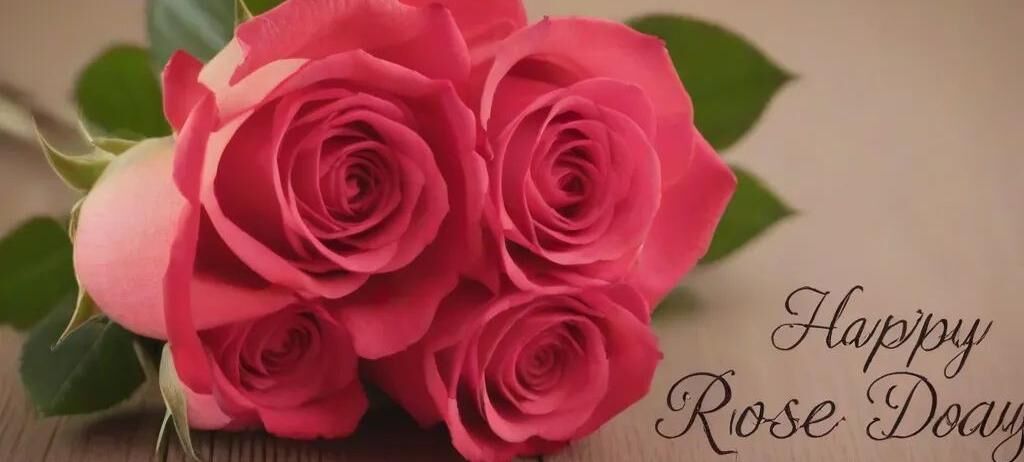 Rose Day 2024: Love Blossoms as Valentines Week Kickstarts