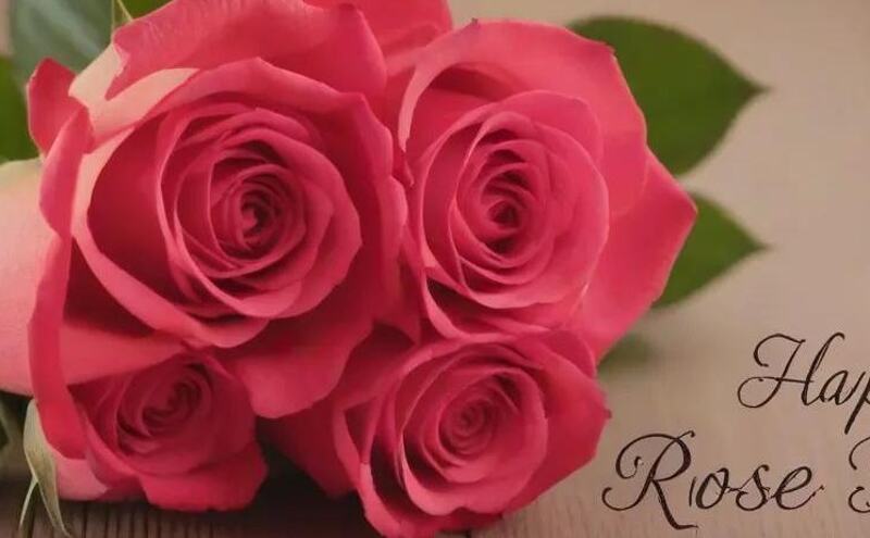 Rose Day 2024: Love Blossoms as Valentines Week Kickstarts Rose Day 2024: Love Blossoms as Valentines Week Kickstarts