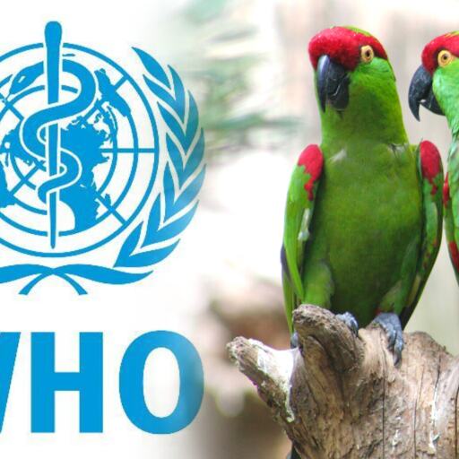 यूरोप में फैल रही जानलेवा बीमारी पैरेट फीवर, 5 मौतें