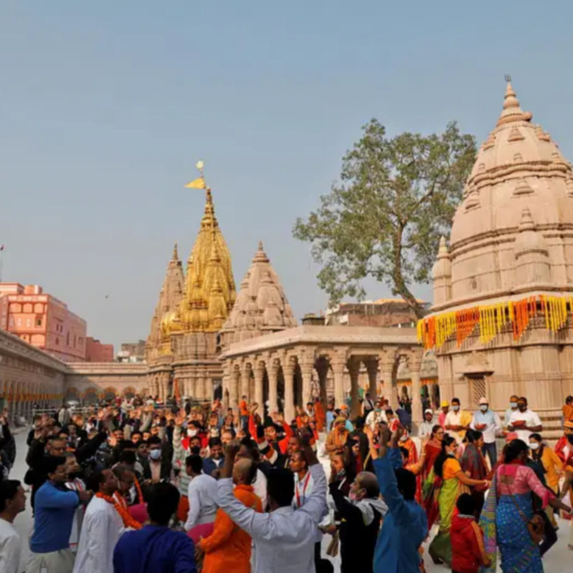 महाशिवरात्रि, काशी में भक्तों की लंबी कतार, बाबा विश्वनाथ के दर्शन के लिए घंटों इंतजार