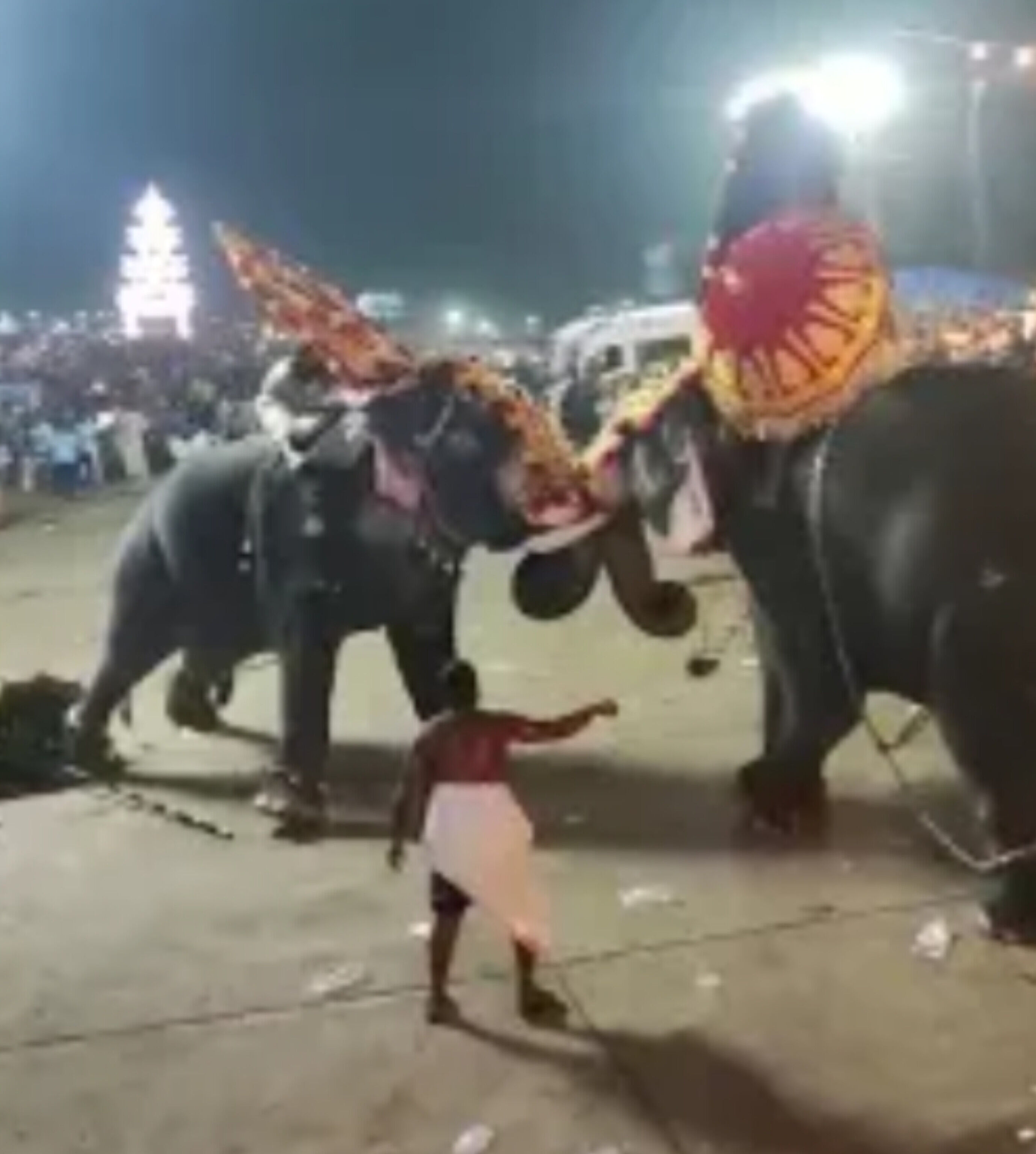 त्रिशूर के थारक्कल मंदिर उत्सव में हाथी ने मचाया उत्पात, महावत घायल