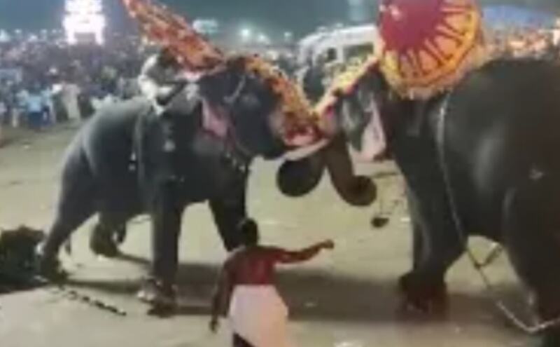 त्रिशूर के थारक्कल मंदिर उत्सव में हाथी ने मचाया उत्पात, महावत घायल