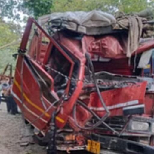 पीलीभीत में दर्दनाक हादसा, डीसीएम पेड़ से टकराई, 3 मजदूरों की मौत, 33 घायल