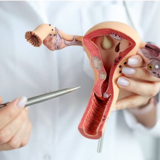 शमिता शेट्टी जुझ रही एंडोमेट्रियोसिस से, आइए जानते है इस बीमारी के बारे में