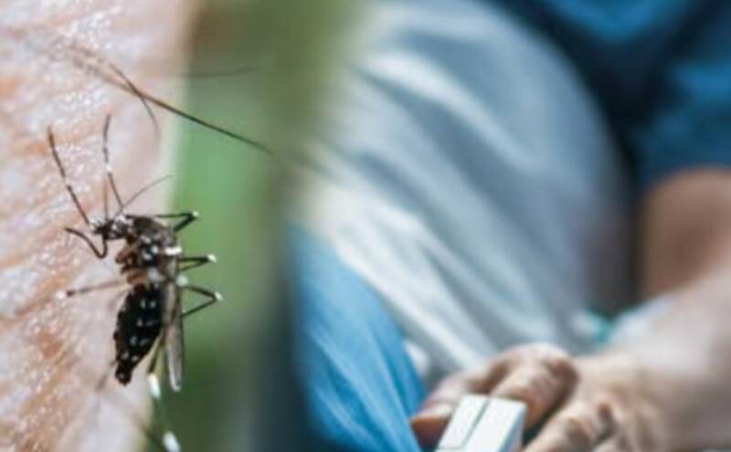 डेंगू से जल्दी उबरने के लिए अपनाएं ये 5 खास उपाय