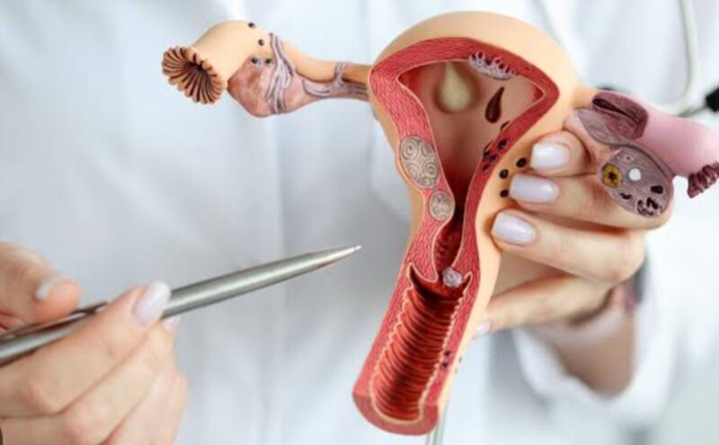 शमिता शेट्टी जुझ रही एंडोमेट्रियोसिस से, आइए जानते है इस बीमारी के बारे में शमिता शेट्टी जुझ रही एंडोमेट्रियोसिस से, आइए जानते है इस बीमारी के बारे में