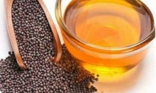 सरसों का तेल स्वाद का खजाना, सेहत के लिए भी फायदेमंद