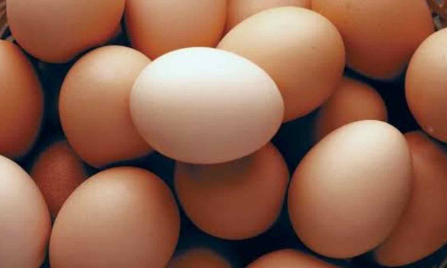 अंडे से गर्मियां में क्या वाकई नुकसान करता है?