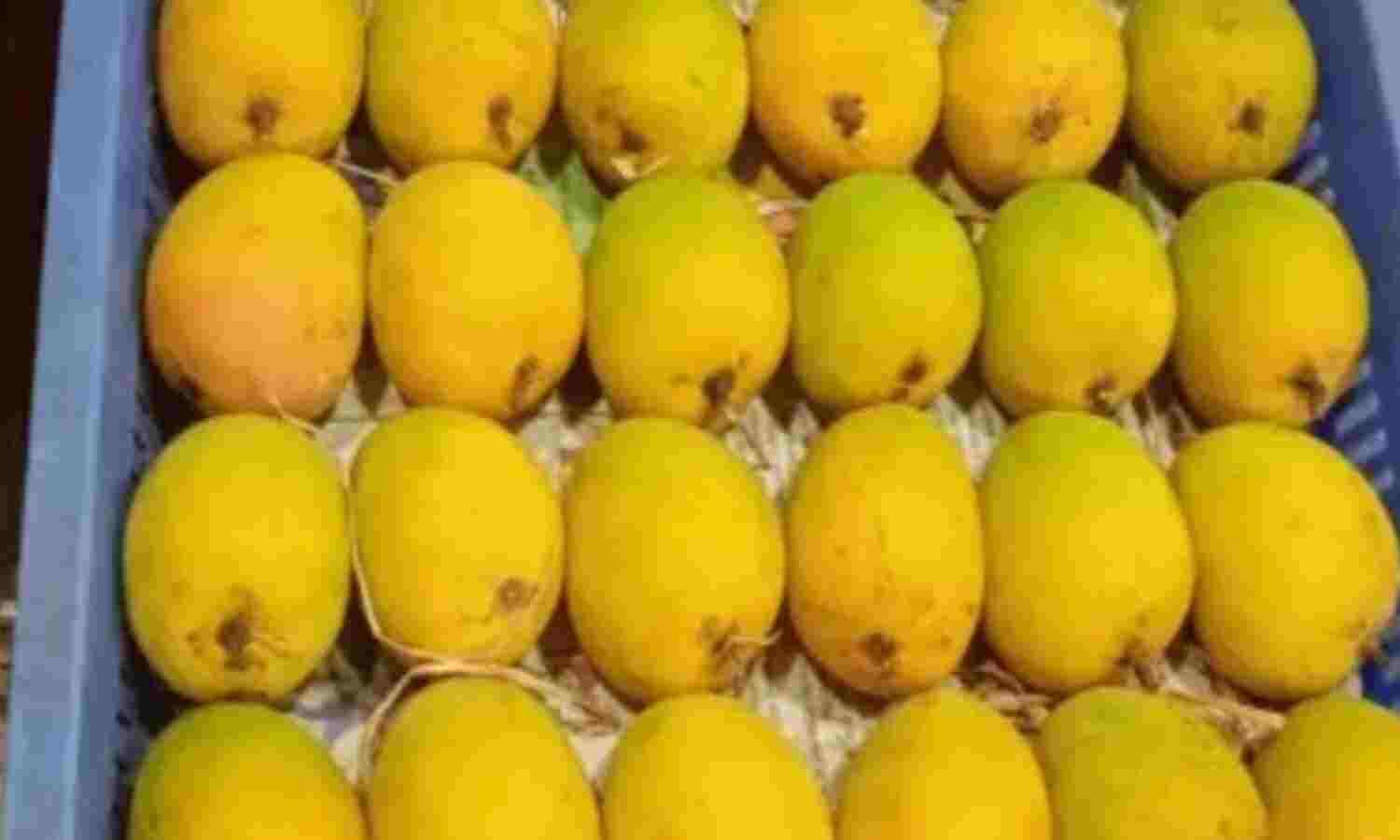 मसाला लगाकर पकाए गए आम स्वादिष्ट, लेकिन सेहत के लिए हानिकारक!