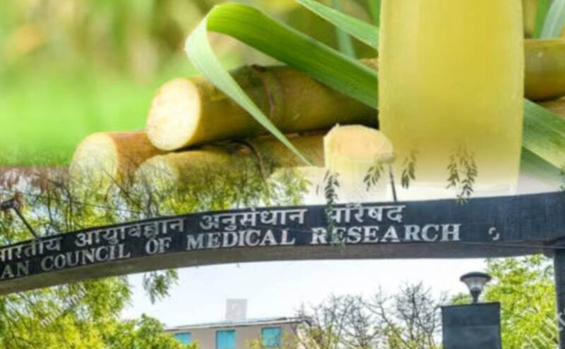 ICMR की चेतावनी: गन्ने का जूस सेहत के लिए खतरनाक! डायबिटीज, मोटापे और दिल की बीमारियों का खतरा बढ़ाता है ICMR की चेतावनी: गन्ने का जूस सेहत के लिए खतरनाक! डायबिटीज, मोटापे और दिल की बीमारियों का खतरा बढ़ाता है