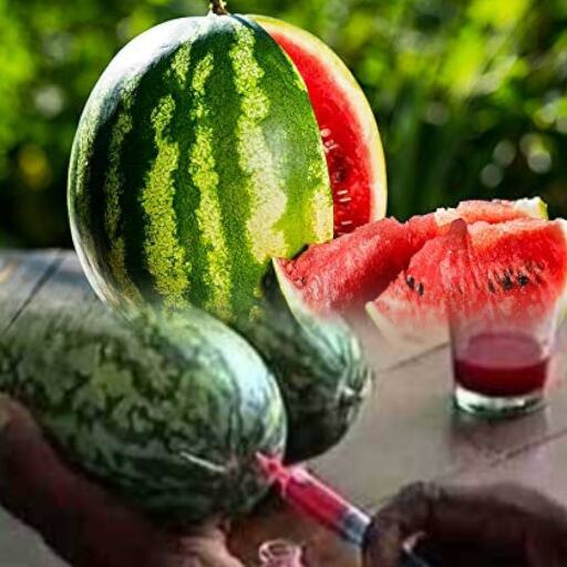 बाजार में मिल रहे जहरीले तरबूज, खाने से हो सकती है जानलेवा बीमारी बाजार में मिल रहे जहरीले तरबूज, खाने से हो सकती है जानलेवा बीमारी