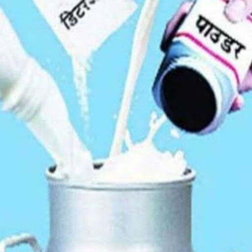 दूध में मिलावट से है सेहत को खतरा!