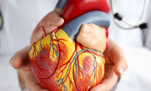 दिल का ख्याल रखें, सेहत बनाएं बेमिसाल! दिल का ख्याल रखें, सेहत बनाएं बेमिसाल!