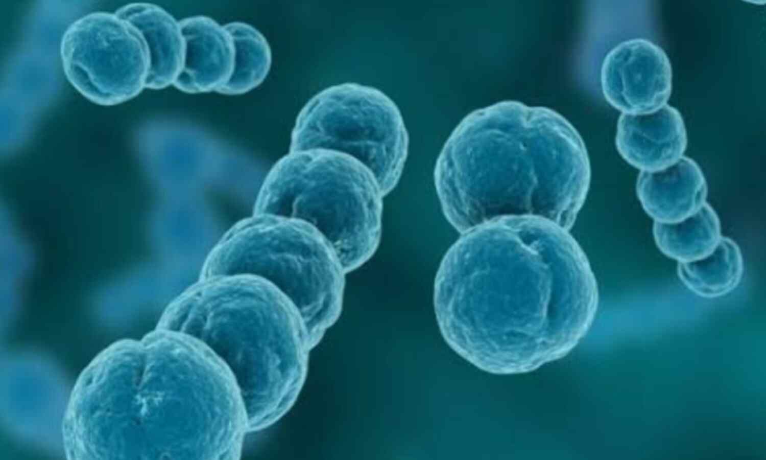 जापान में Flesh Eating Bacteria का खतरा, जानिए लक्षण और बचाव