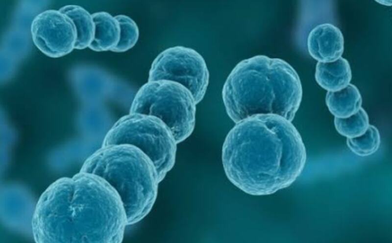 рдЬрд╛рдкрд╛рди рдореЗрдВ Flesh Eating Bacteria рдХрд╛ рдЦрддрд░рд╛, рдЬрд╛рдирд┐рдП рд▓рдХреНрд╖рдг рдФрд░ рдмрдЪрд╛рд╡ рдЬрд╛рдкрд╛рди рдореЗрдВ Flesh Eating Bacteria рдХрд╛ рдЦрддрд░рд╛, рдЬрд╛рдирд┐рдП рд▓рдХреНрд╖рдг рдФрд░ рдмрдЪрд╛рд╡