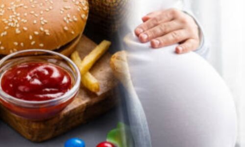 गर्भावस्था में जंक फूड, स्वादिष्ट लेकिन खतरनाक! गर्भावस्था में जंक फूड, स्वादिष्ट लेकिन खतरनाक!