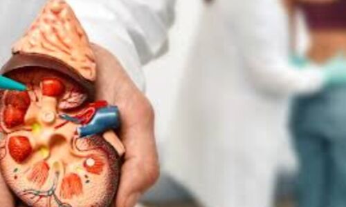 विश्व किडनी कैंसर दिवस, जागरूकता और रोकथाम विश्व किडनी कैंसर दिवस, जागरूकता और रोकथाम