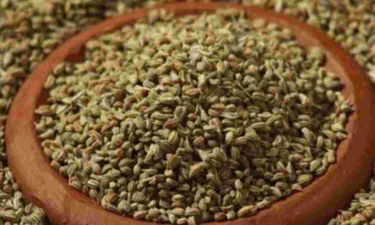 अजवाइन यूरिक एसिड को नियंत्रित करने का एक प्राकृतिक उपाय