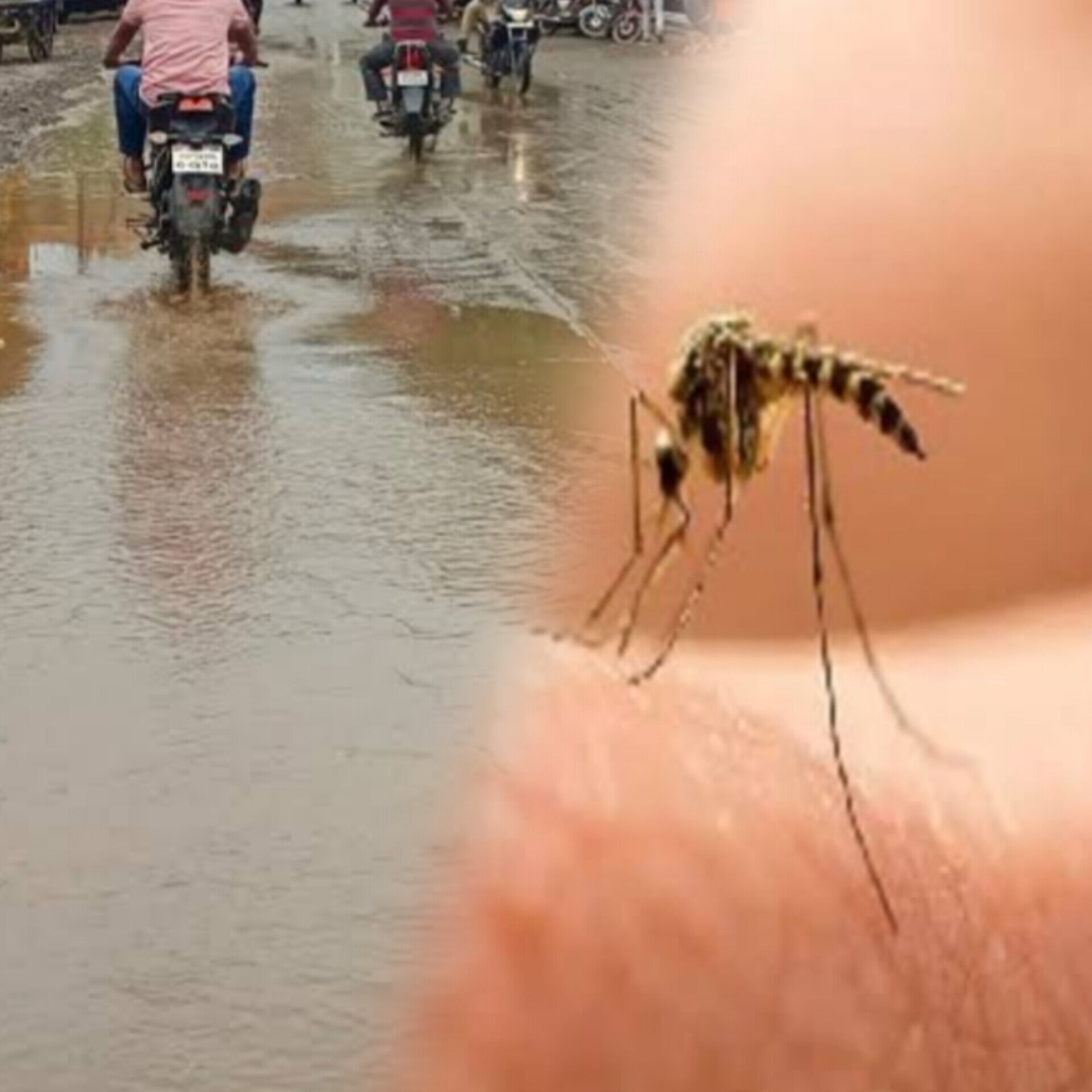 मानसून आया, बीमारियां भी आयी, इन बातों का रखें ध्यान