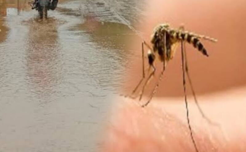 मानसून आया, बीमारियां भी आयी, इन बातों का रखें ध्यान