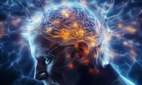 अल्जाइमर से जूझ रहे हैं लोग? बचाव और राहत के उपाय