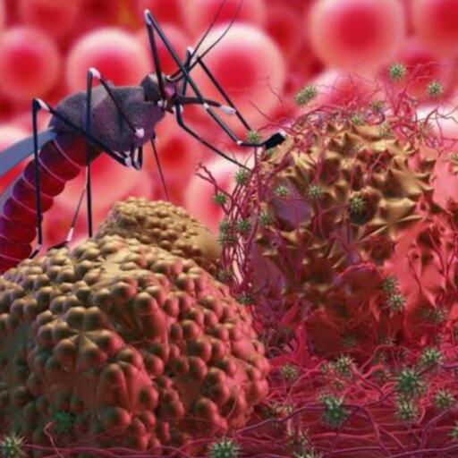 गुजरात के अरावली में Chandipura virus का प्रकोप, 6 लोगों की मौत!