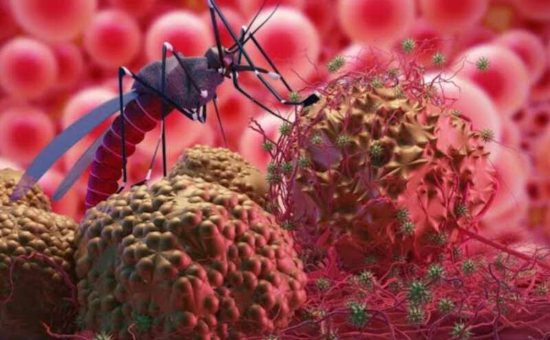 गुजरात के अरावली में Chandipura virus का प्रकोप, 6 लोगों की मौत! गुजरात के अरावली में Chandipura virus का प्रकोप, 6 लोगों की मौत!