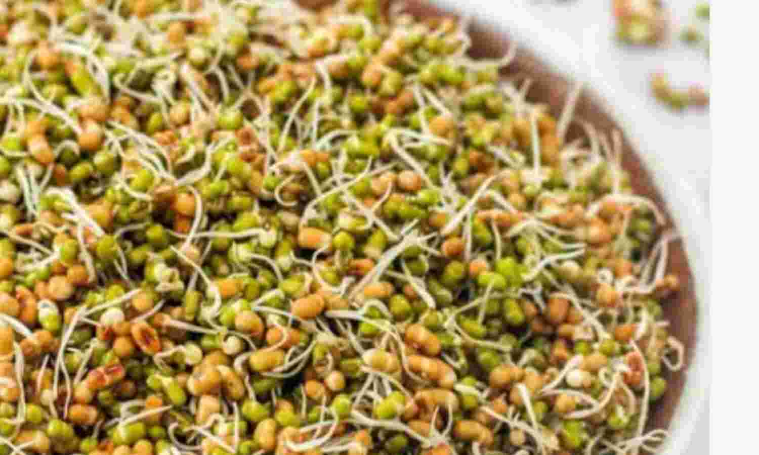 स्प्राउट्स है सेहत का खजाना और बीमारियों का दुश्मन
