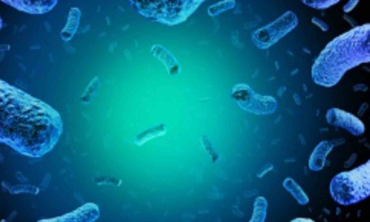 अमेरिका में लिस्टेरिया संक्रमण से 2 लोगों की मौत, 28 अस्पताल में भर्ती