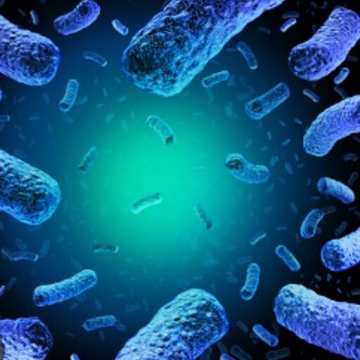 अमेरिका में लिस्टेरिया संक्रमण से 2 लोगों की मौत, 28 अस्पताल में भर्ती