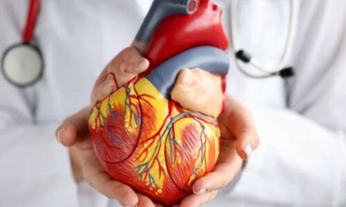 दिल की सेहत का रखे ध्यान,बढ़ती उम्र में भी रहें दिल से मजबूत