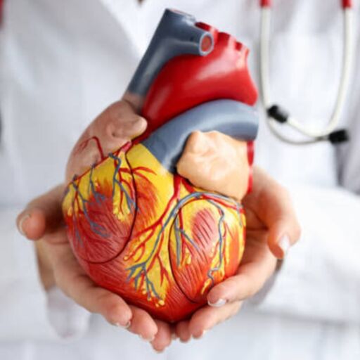 दिल की सेहत का रखे ध्यान,बढ़ती उम्र में भी रहें दिल से मजबूत