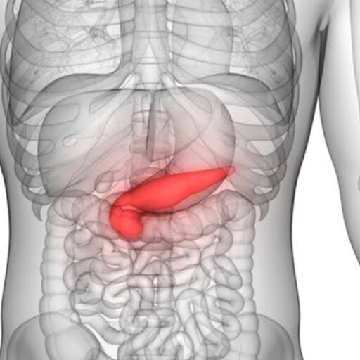 अग्नाशय (पैंक्रियाज) और उसका स्वास्थ्य, लक्षण और उपचार अग्नाशय (पैंक्रियाज) और उसका स्वास्थ्य, लक्षण और उपचार