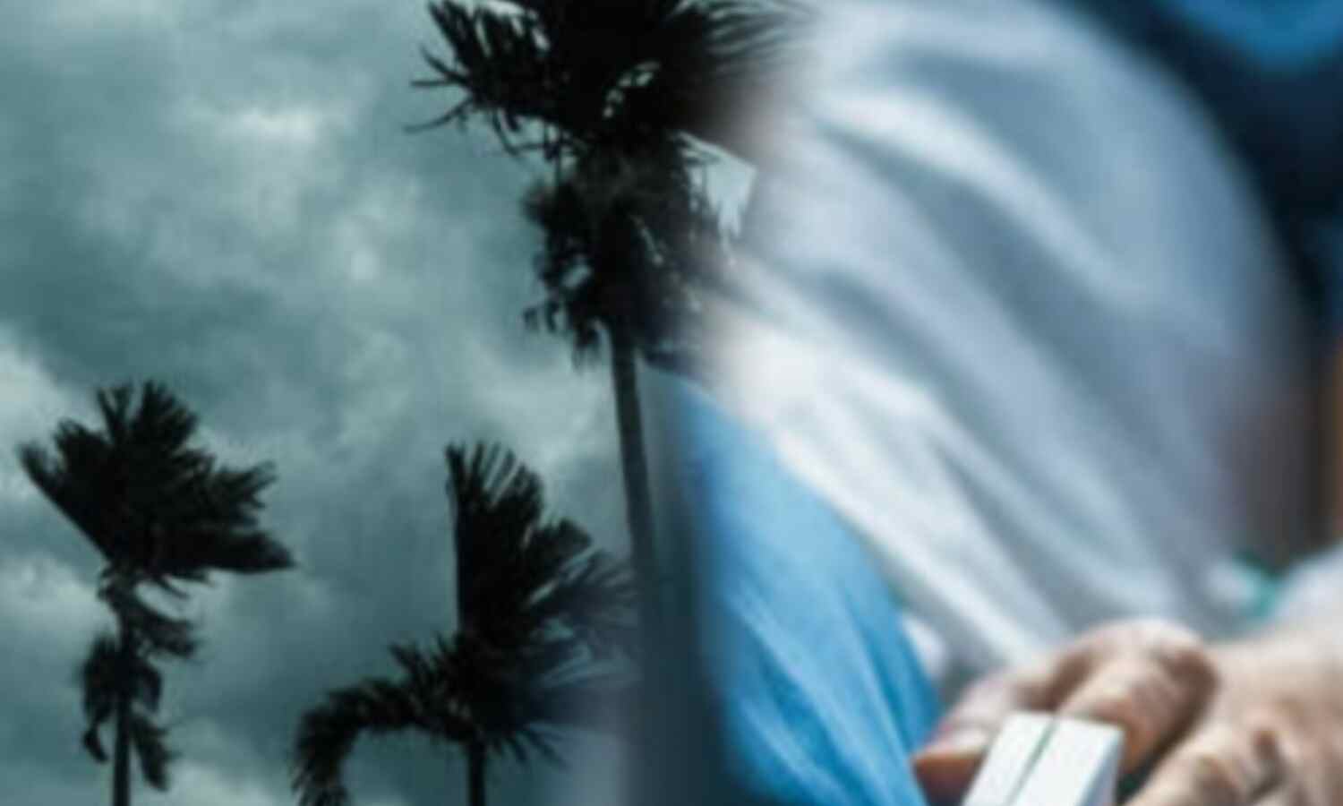 मानसून आनंद और बीमारी का संगम, कैसे करें बचाव?