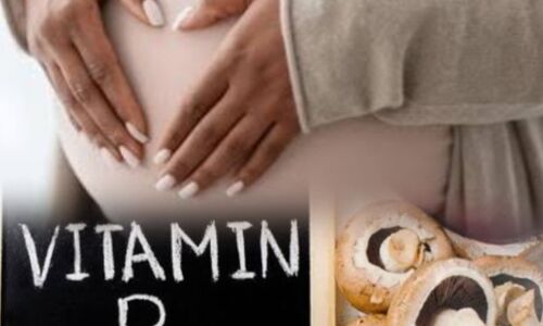 विटामिन बी12 की कमी, प्रजनन क्षमता पर पड़ता है गहरा असर विटामिन बी12 की कमी, प्रजनन क्षमता पर पड़ता है गहरा असर