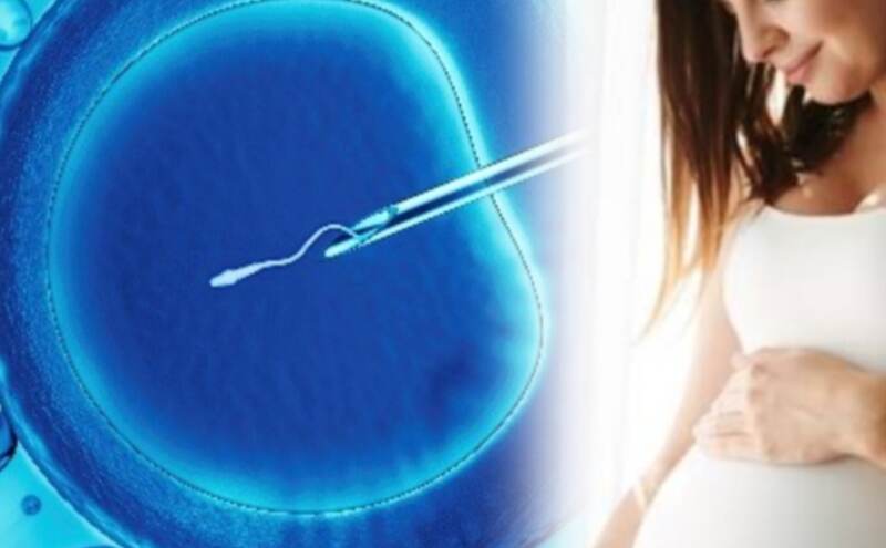 विश्व आईवीएफ दिवस, मिथकों को तोड़ते हुए सच्चाई की ओर