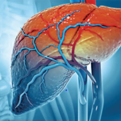 युवाओं में बढ़ रहा है लिवर रोग का खतरा, हेपेटाइटिस की भूमिका युवाओं में बढ़ रहा है लिवर रोग का खतरा, हेपेटाइटिस की भूमिका