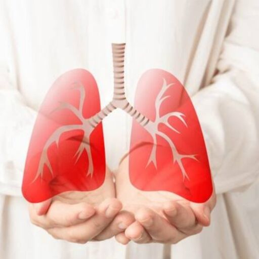 फेफड़ों की सेहत, शरीर के लिए ऑक्सीजन का स्रोत