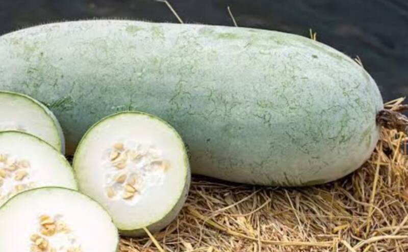 सफेद पेठा का जूस सेहत के लिए है अमृत